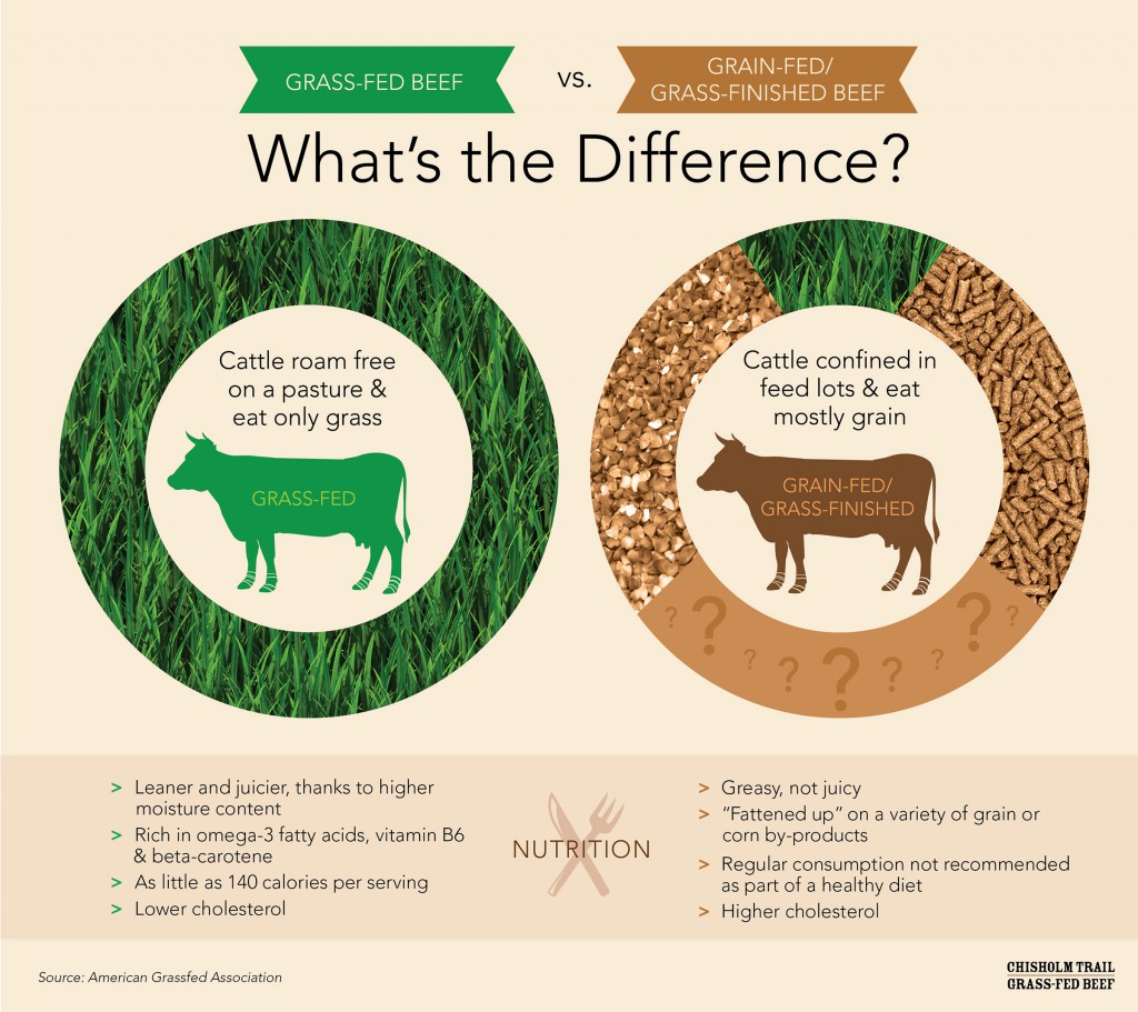 grain fed beef vs. grass fed beef Seeking the truth about food