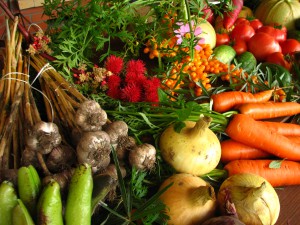 organic grown vegetables