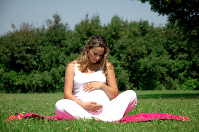 What is a healthy pregnancy diet Seeking the truth about food